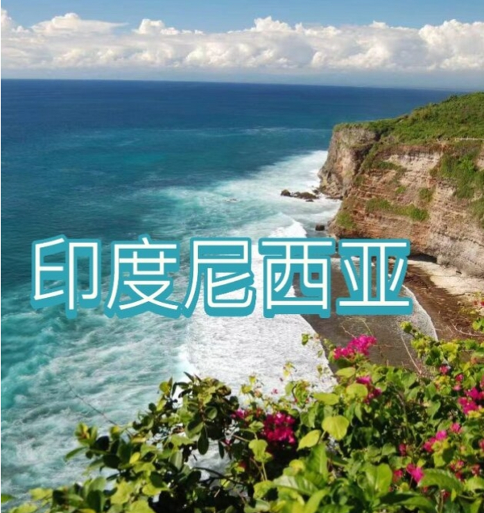 国际电商(印尼)产业博览会pg电子试玩2